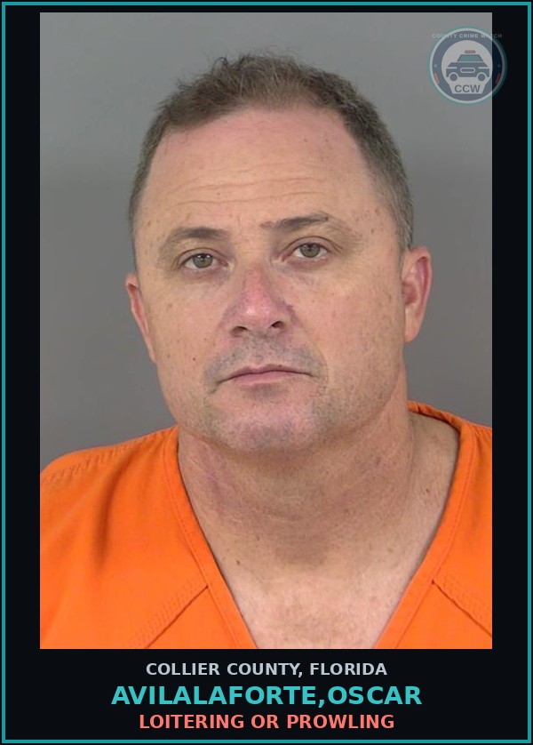 Booking mugshot of AVILALAFORTE,OSCAR in Collier County