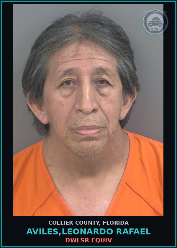 Booking mugshot of AVILES,LEONARDO RAFAEL in Collier County