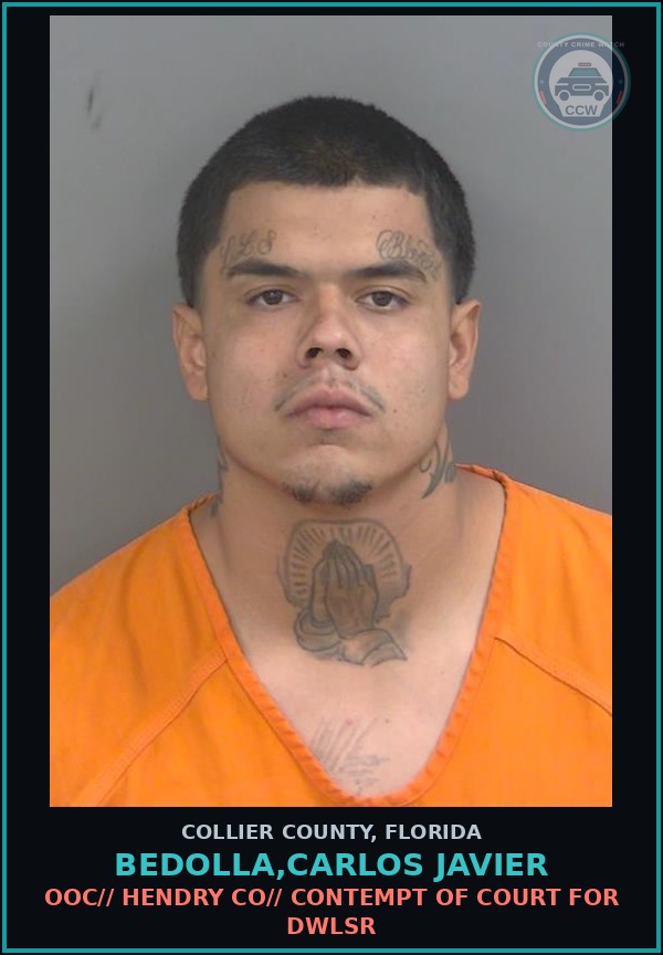 Booking mugshot of BEDOLLA,CARLOS JAVIER in Collier County