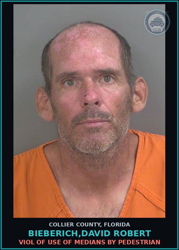 Booking mugshot of BIEBERICH,DAVID ROBERT in Collier County