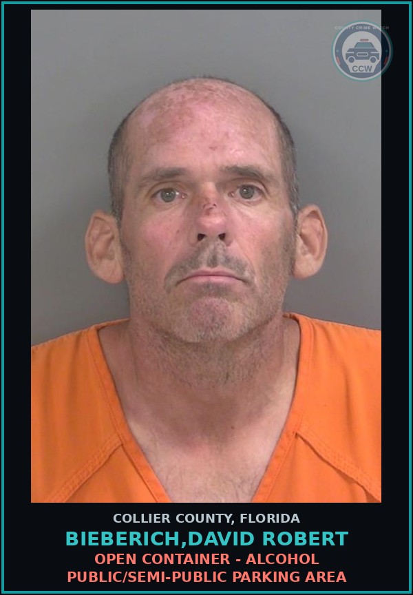 Booking mugshot of BIEBERICH,DAVID ROBERT in Collier County