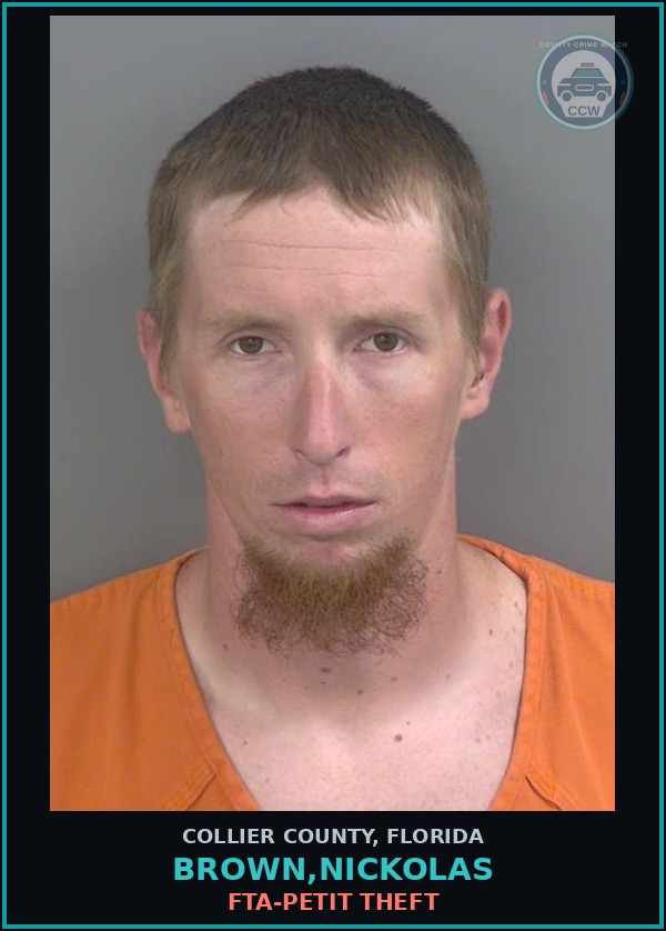 Booking mugshot of BROWN,NICKOLAS in Collier County