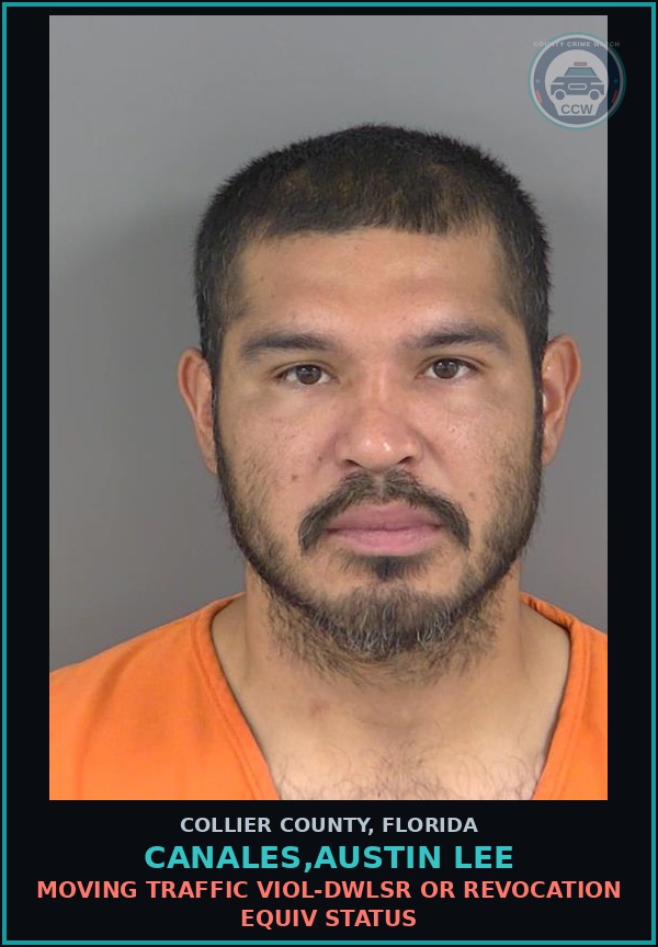 Booking mugshot of CANALES,AUSTIN LEE in Collier County