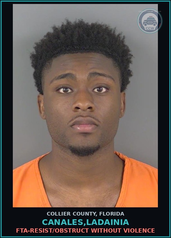 Booking mugshot of CANALES,LADAINIA in Collier County