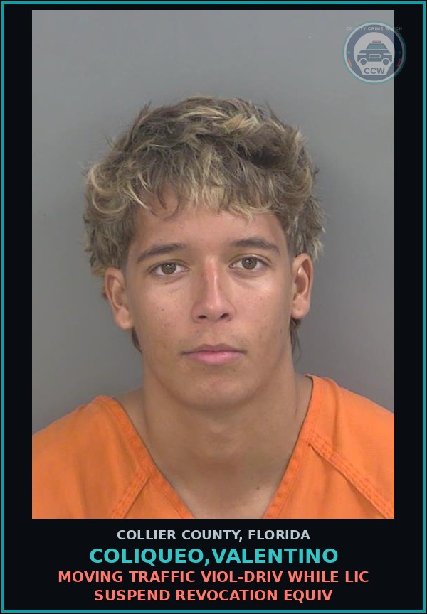 Booking mugshot of COLIQUEO,VALENTINO in Collier County