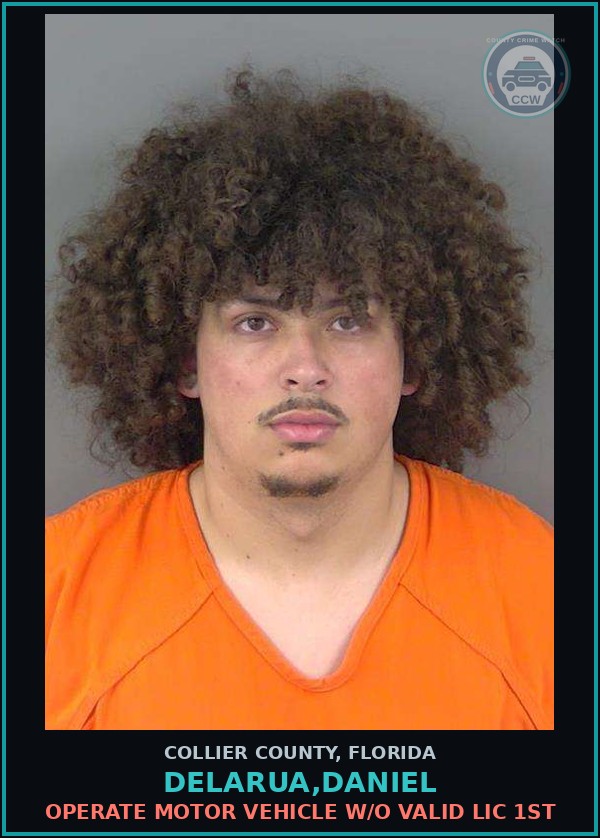 Booking mugshot of DELARUA,DANIEL in Collier County