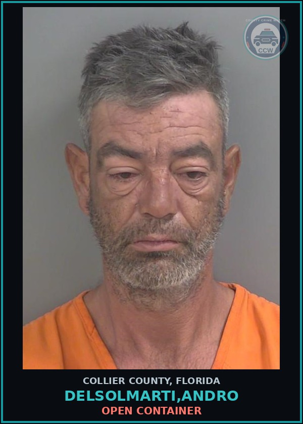 Booking mugshot of DELSOLMARTI,ANDRO in Collier County