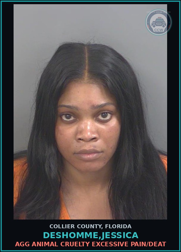 Booking mugshot of DESHOMME,JESSICA in Collier County