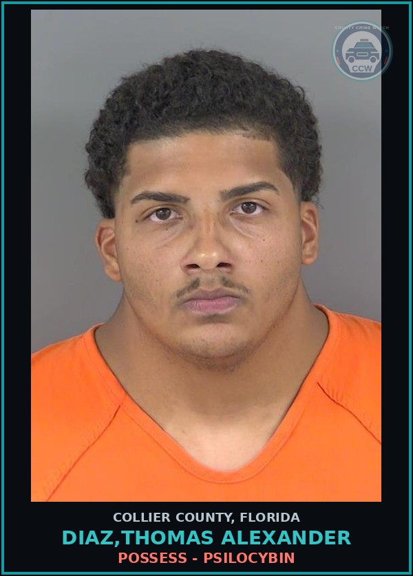 Booking mugshot of DIAZ,THOMAS ALEXANDER in Collier County
