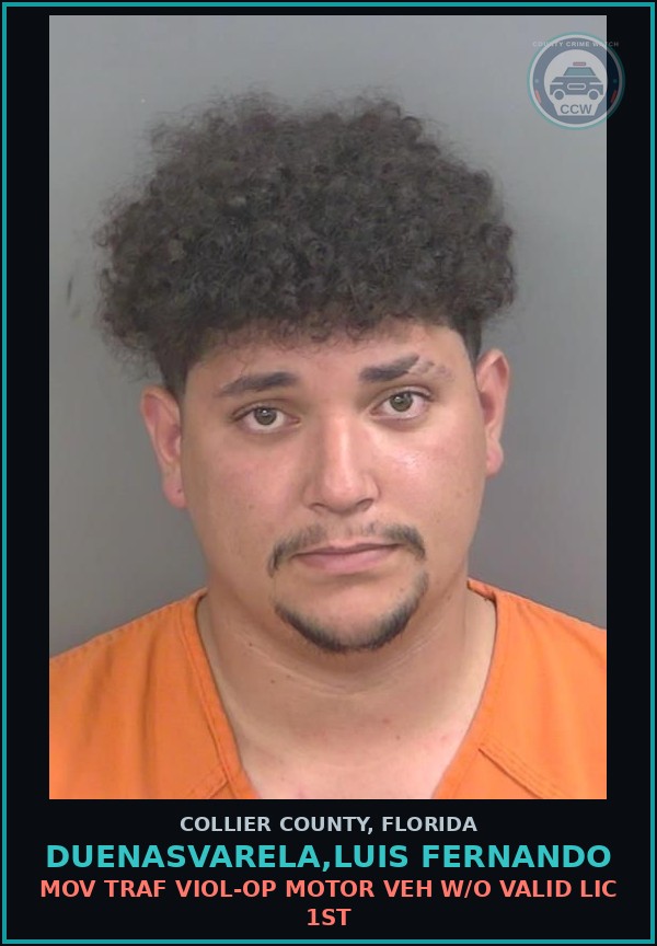 Booking mugshot of DUENASVARELA,LUIS FERNANDO in Collier County