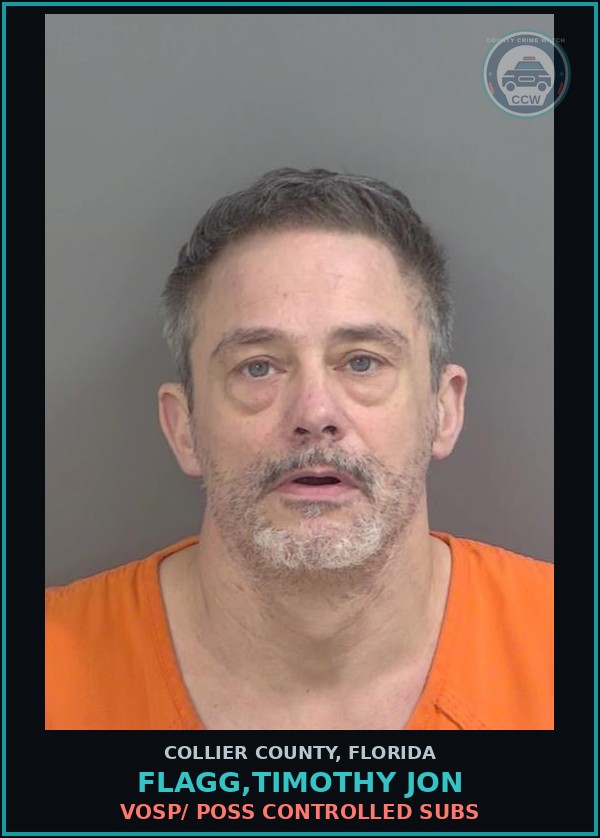 Booking mugshot of FLAGG,TIMOTHY JON in Collier County