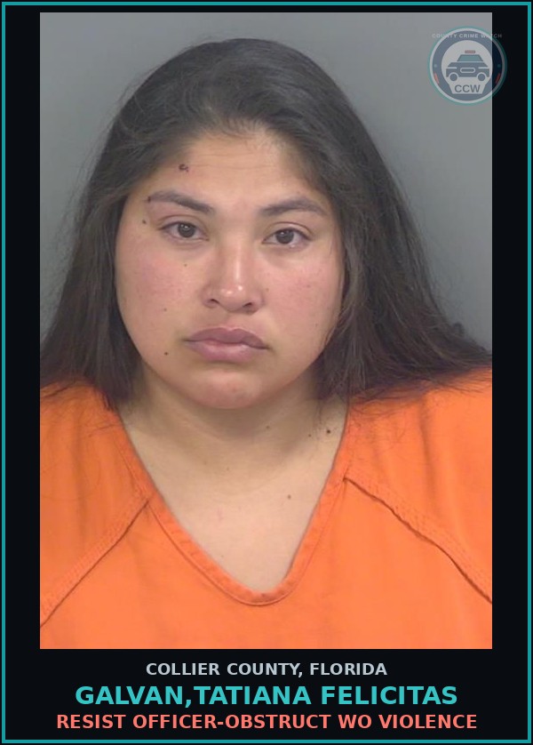 Booking mugshot of GALVAN,TATIANA FELICITAS in Collier County
