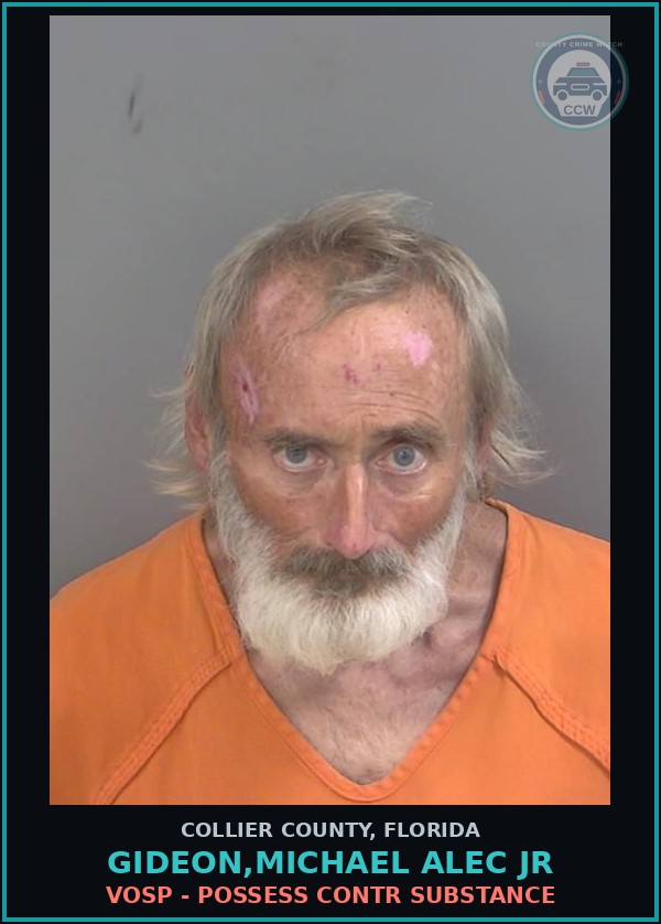 Booking mugshot of GIDEON,MICHAEL ALEC JR in Collier County