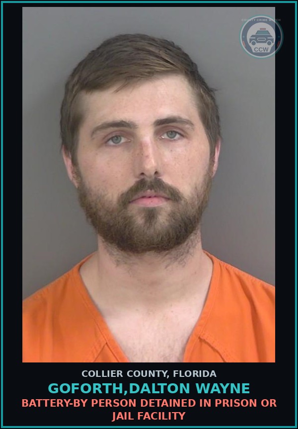 Booking mugshot of GOFORTH,DALTON WAYNE in Collier County