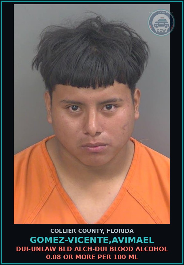 Booking mugshot of GOMEZ-VICENTE,AVIMAEL in Collier County