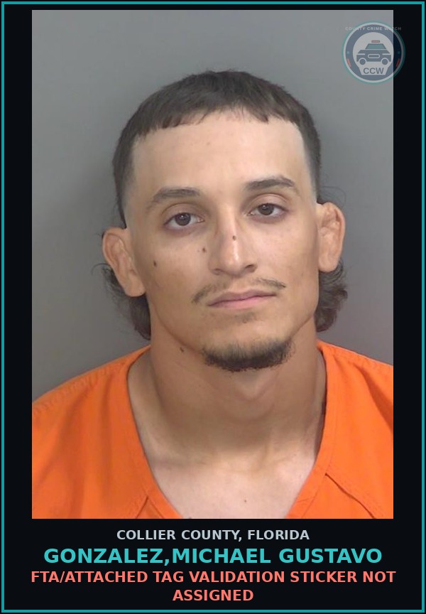 Booking mugshot of GONZALEZ,MICHAEL GUSTAVO in Collier County