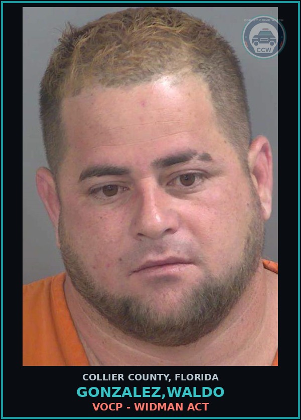 Booking mugshot of GONZALEZ,WALDO in Collier County
