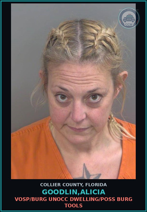 Booking mugshot of GOODLIN,ALICIA in Collier County