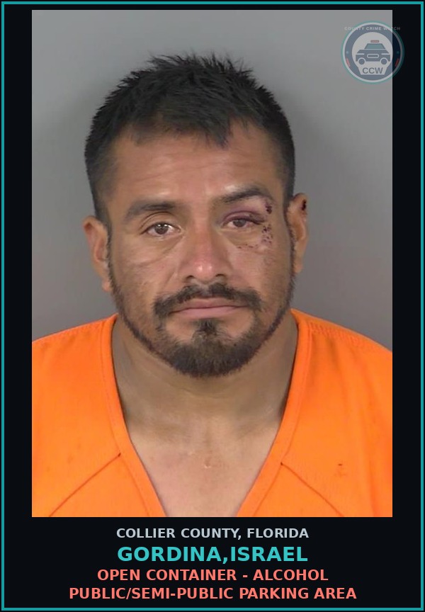 Booking mugshot of GORDINA,ISRAEL in Collier County