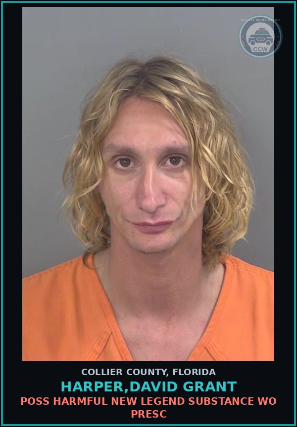 Booking mugshot of HARPER,DAVID GRANT in Collier County