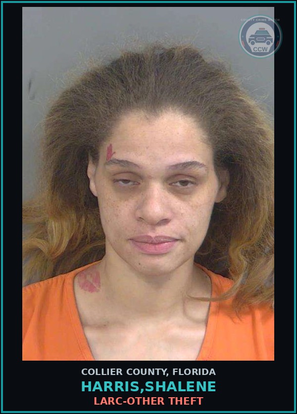 Booking mugshot of HARRIS,SHALENE in Collier County