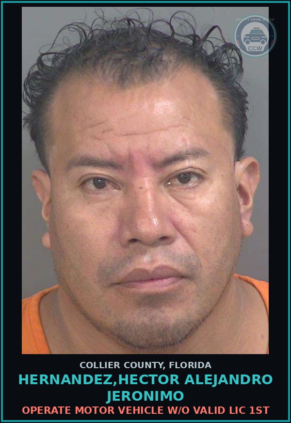 Booking mugshot of HERNANDEZ,HECTOR ALEJANDRO JERONIMO in Collier County
