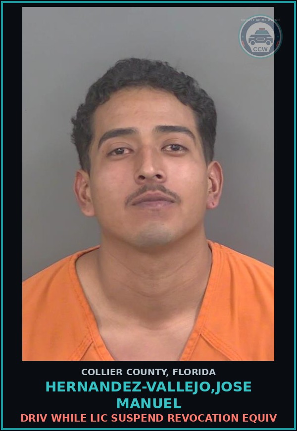 Booking mugshot of HERNANDEZ-VALLEJO,JOSE MANUEL in Collier County
