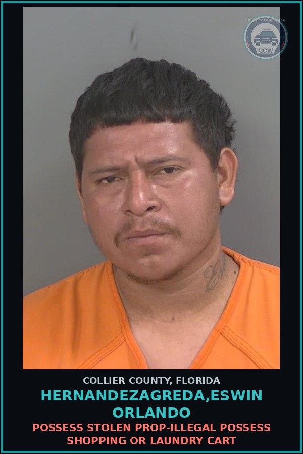 Booking mugshot of HERNANDEZAGREDA,ESWIN ORLANDO in Collier County