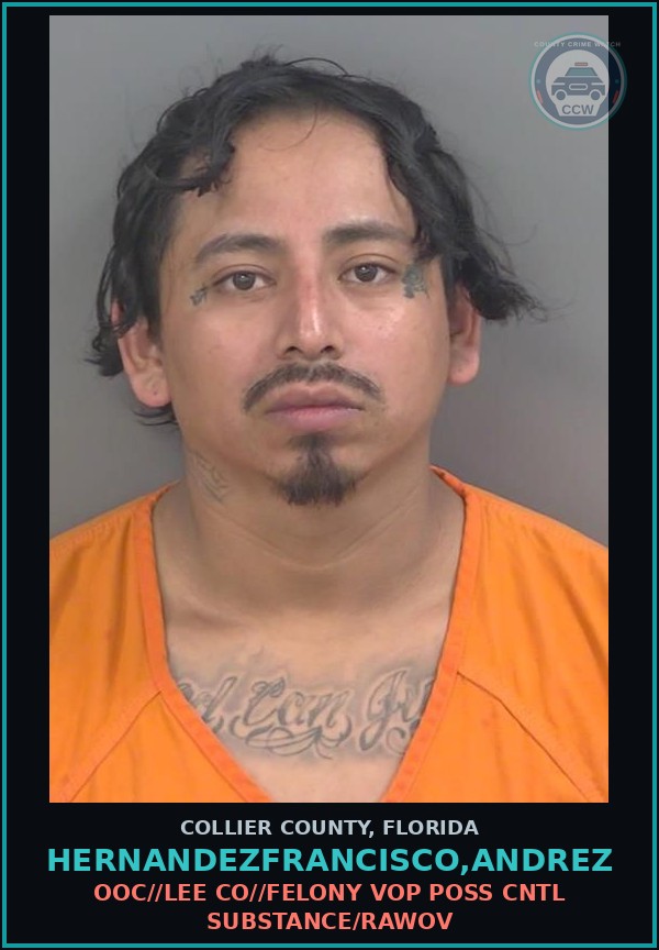 Booking mugshot of HERNANDEZFRANCISCO,ANDREZ in Collier County