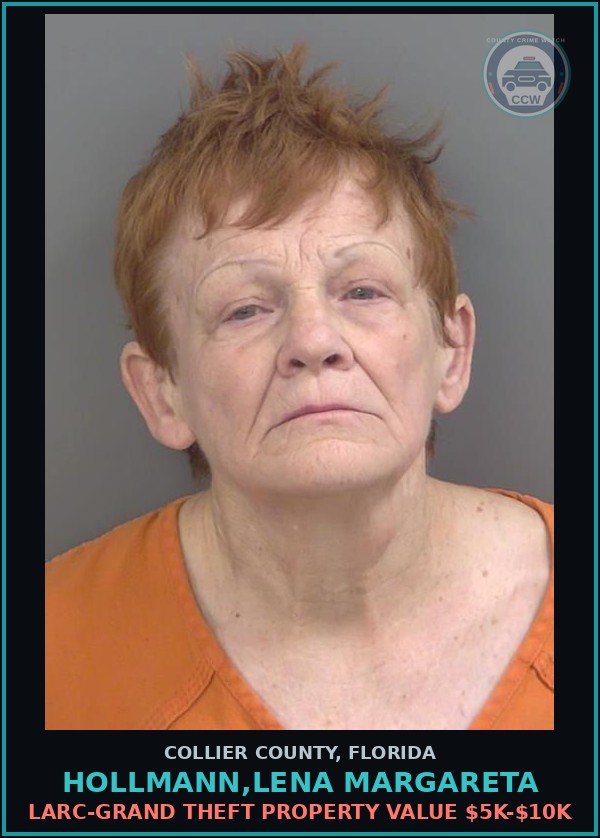 Booking mugshot of HOLLMANN,LENA MARGARETA in Collier County