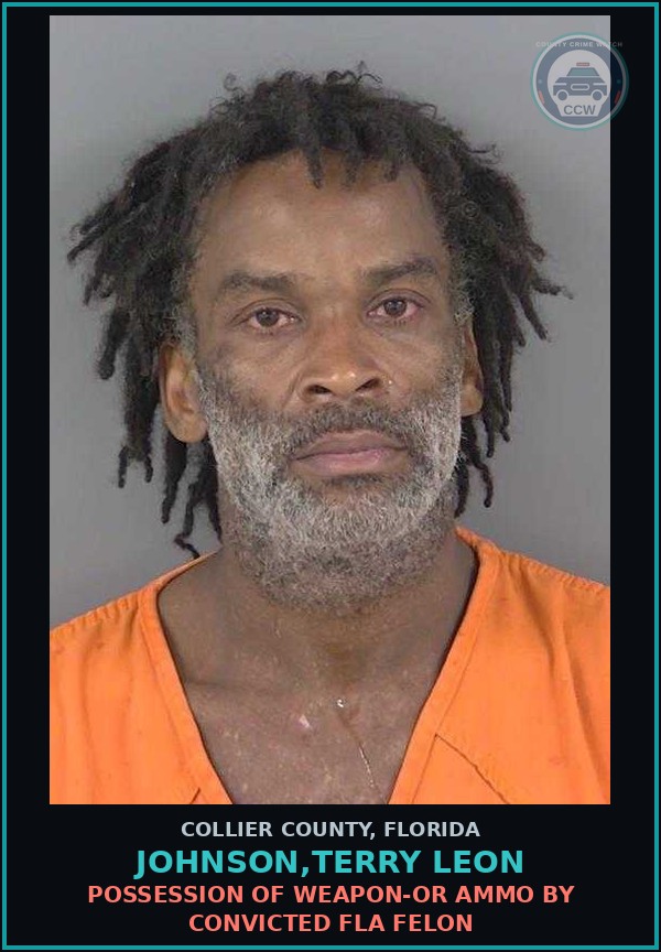 Booking mugshot of JOHNSON,TERRY LEON in Collier County