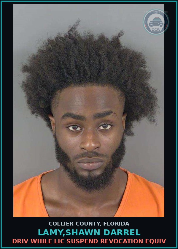Booking mugshot of LAMY,SHAWN DARREL in Collier County