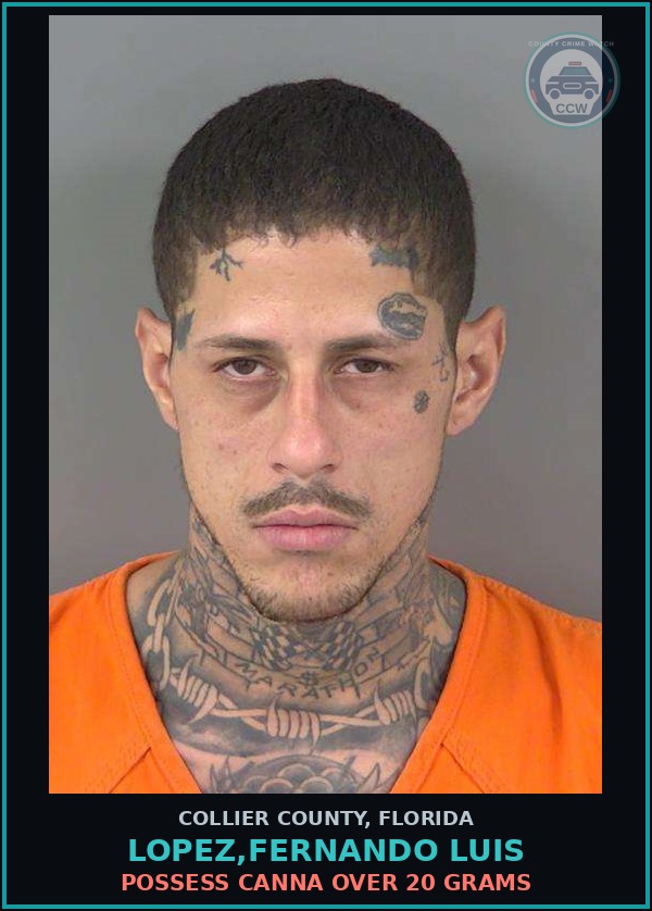 Booking mugshot of LOPEZ,FERNANDO LUIS in Collier County
