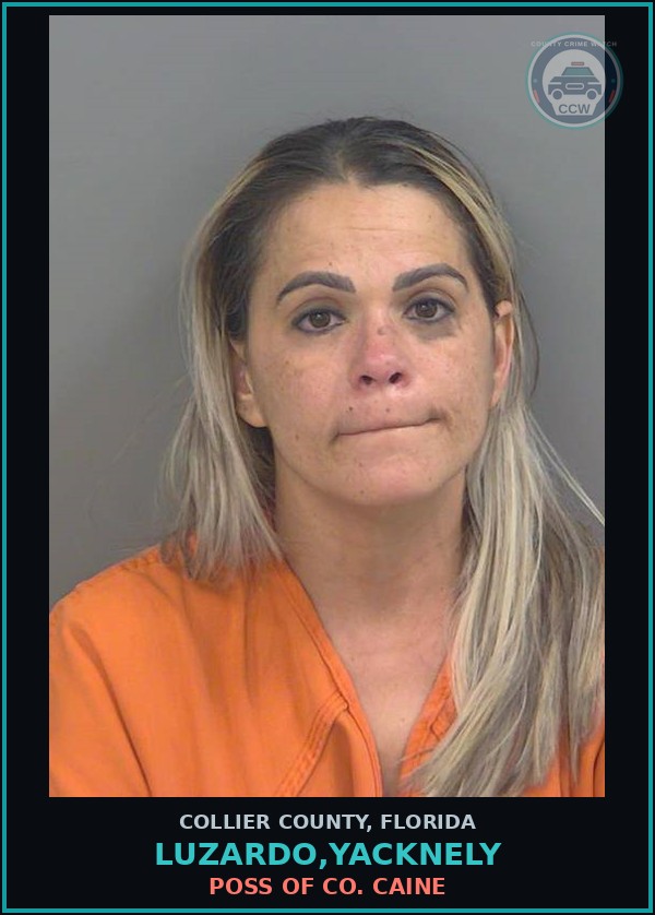 Booking mugshot of LUZARDO,YACKNELY in Collier County