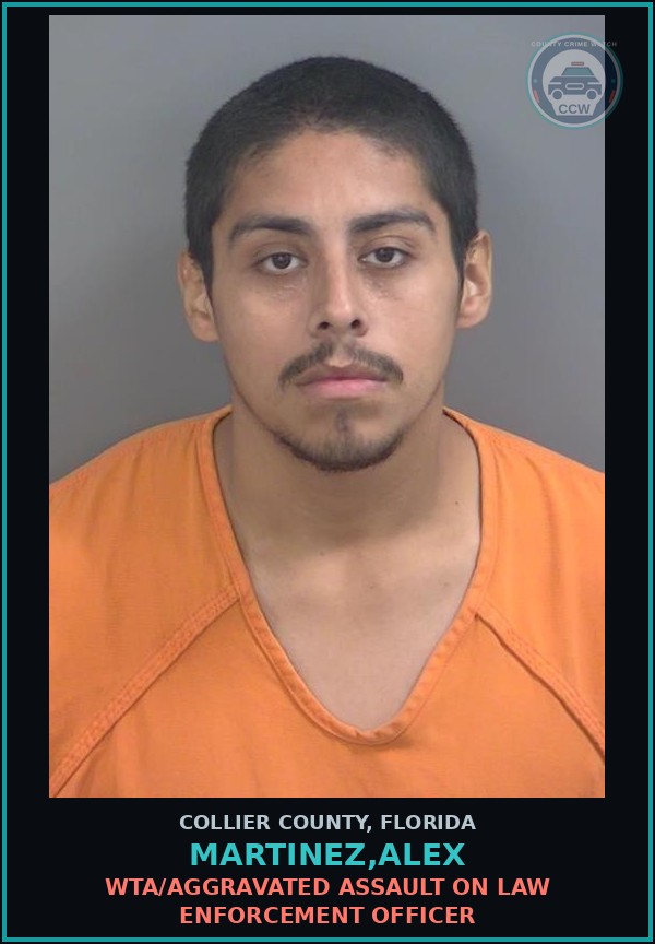Booking mugshot of MARTINEZ,ALEX in Collier County