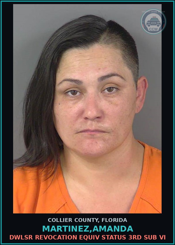 Booking mugshot of MARTINEZ,AMANDA in Collier County