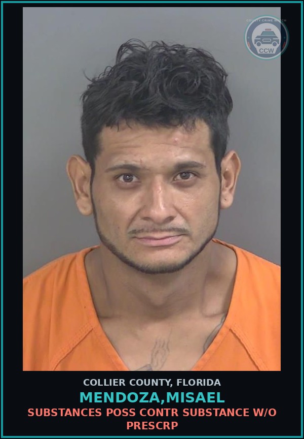 Booking mugshot of MENDOZA,MISAEL in Collier County