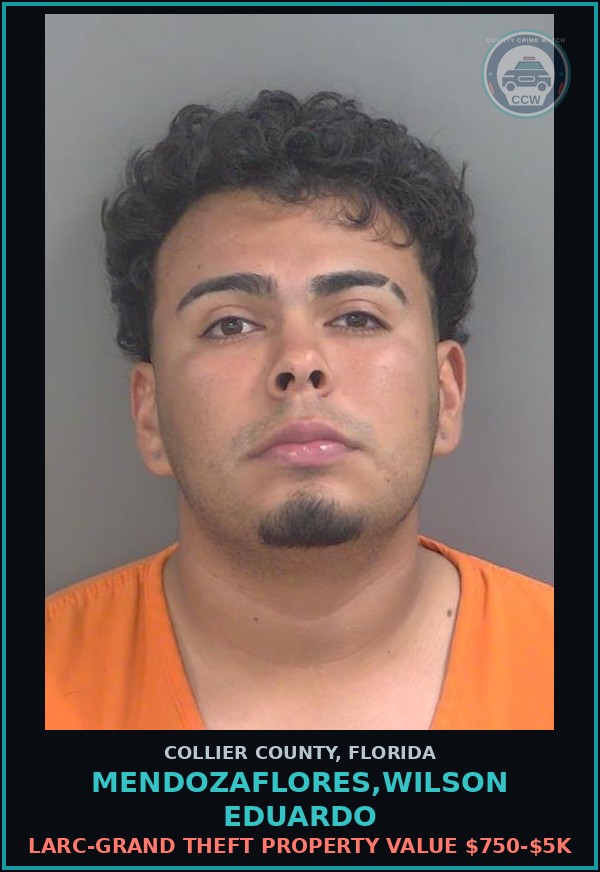 Booking mugshot of MENDOZAFLORES,WILSON EDUARDO in Collier County