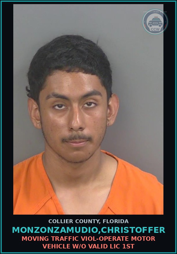 Booking mugshot of MONZONZAMUDIO,CHRISTOFFER in Collier County
