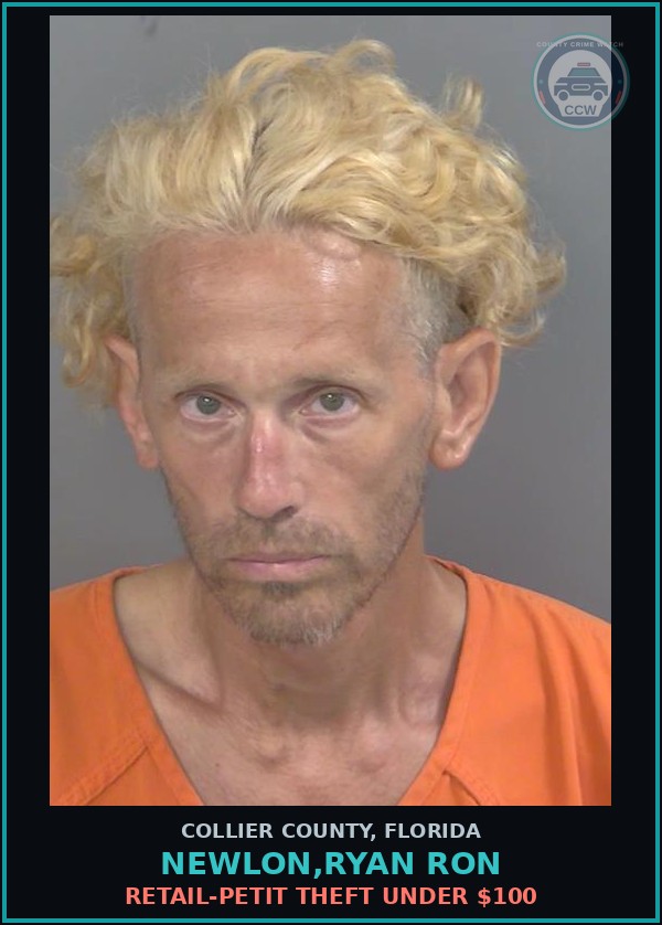 Booking mugshot of NEWLON,RYAN RON in Collier County