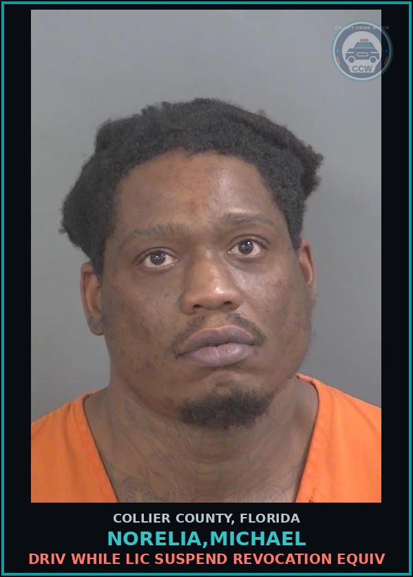 Booking mugshot of NORELIA,MICHAEL in Collier County