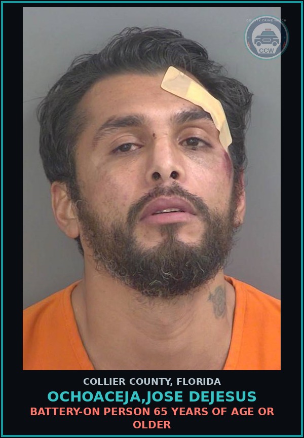 Booking mugshot of OCHOACEJA,JOSE DEJESUS in Collier County