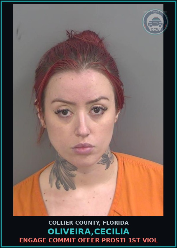 Booking mugshot of OLIVEIRA,CECILIA in Collier County