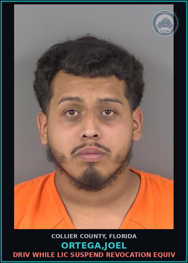 Booking mugshot of ORTEGA,JOEL in Collier County