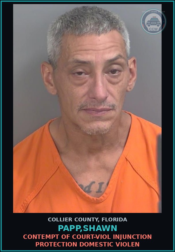 Booking mugshot of PAPP,SHAWN in Collier County