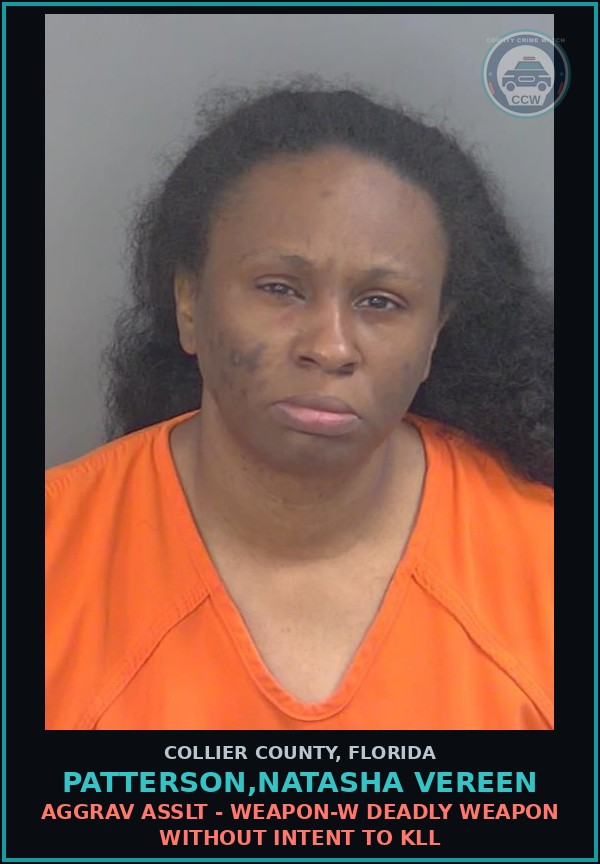 Booking mugshot of PATTERSON,NATASHA VEREEN in Collier County