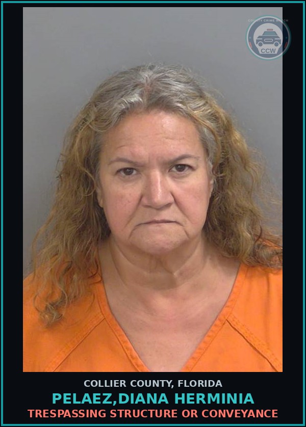 Booking mugshot of PELAEZ,DIANA HERMINIA in Collier County