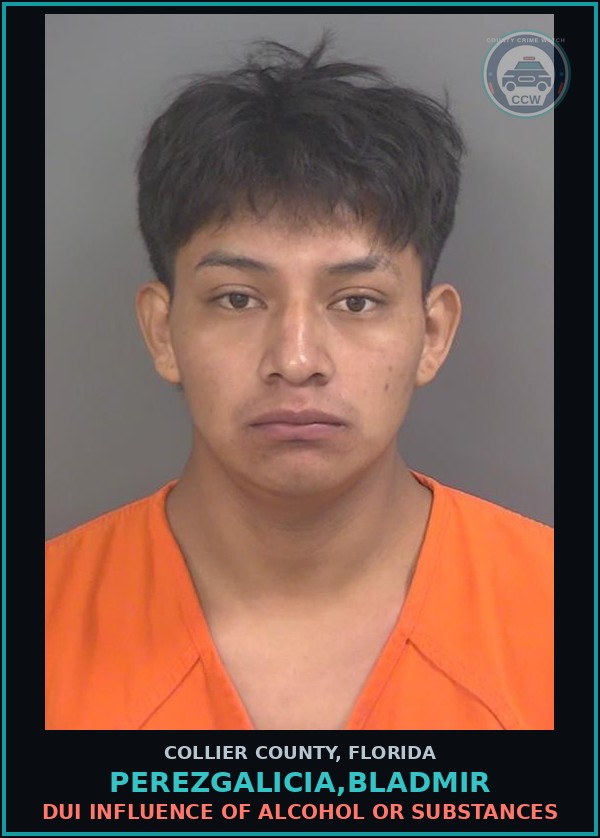 Booking mugshot of PEREZGALICIA,BLADMIR in Collier County