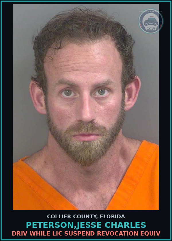 Booking mugshot of PETERSON,JESSE CHARLES in Collier County