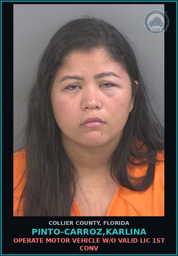 Booking mugshot of PINTO-CARROZ,KARLINA in Collier County